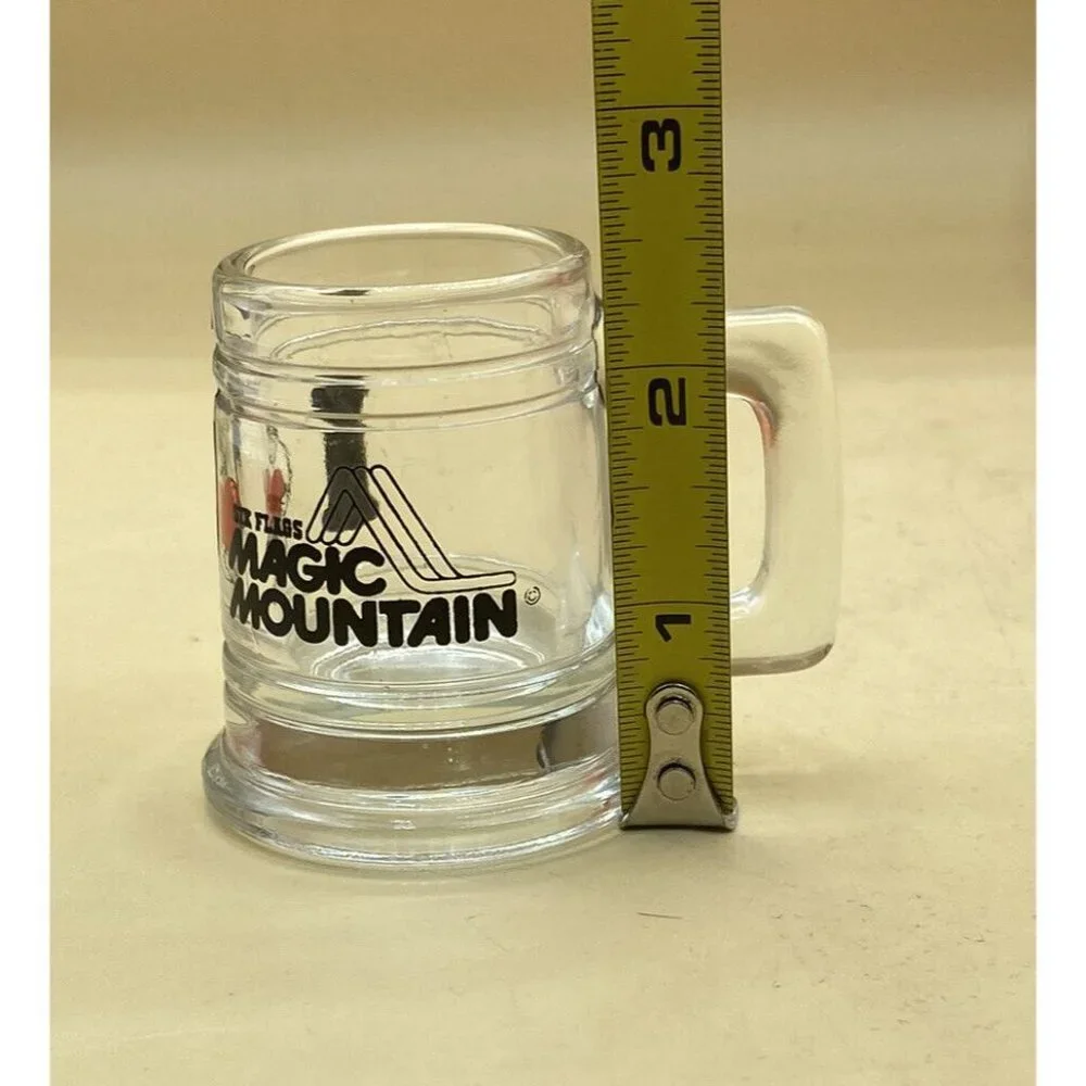 Six Flags Magic Mountain CA Amusement Park Clear Glass Shot Glass Mini Stein